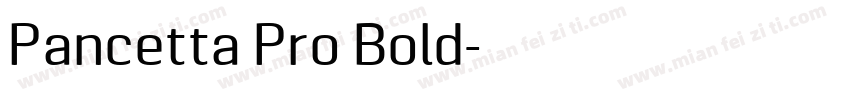 Pancetta Pro Bold字体转换
